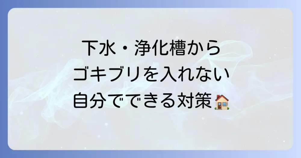 今すぐできる！自分でできるゴキブリ対策【侵入させない予防策】