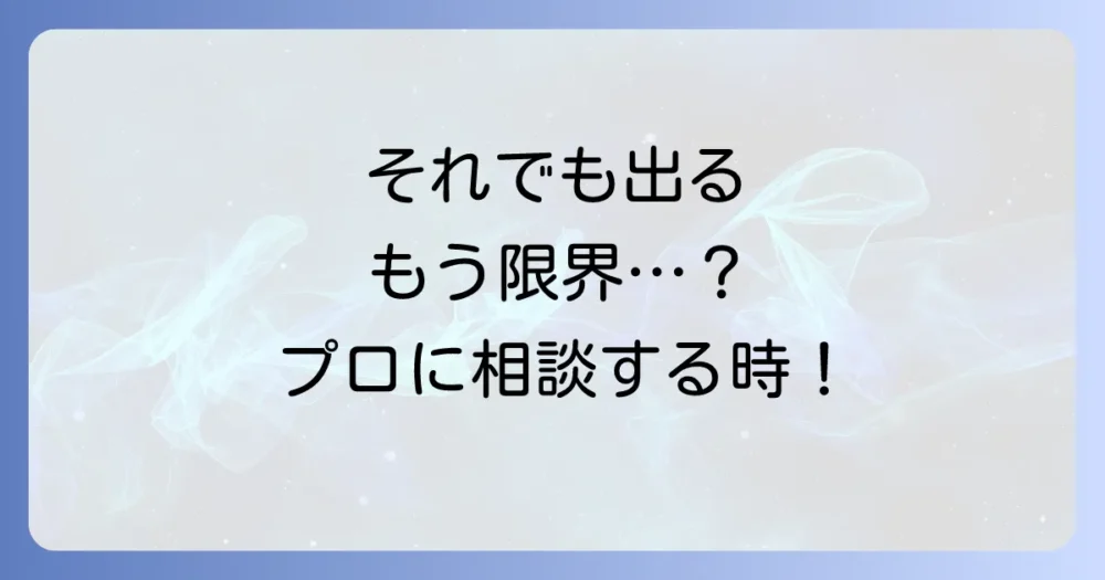 それでもゴキブリが出る…プロの駆除業者に相談するタイミング