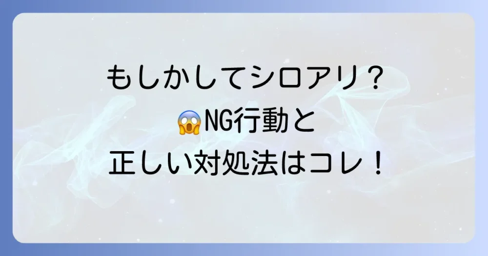 もしかしてシロアリ?発生してしまった場合の対処法