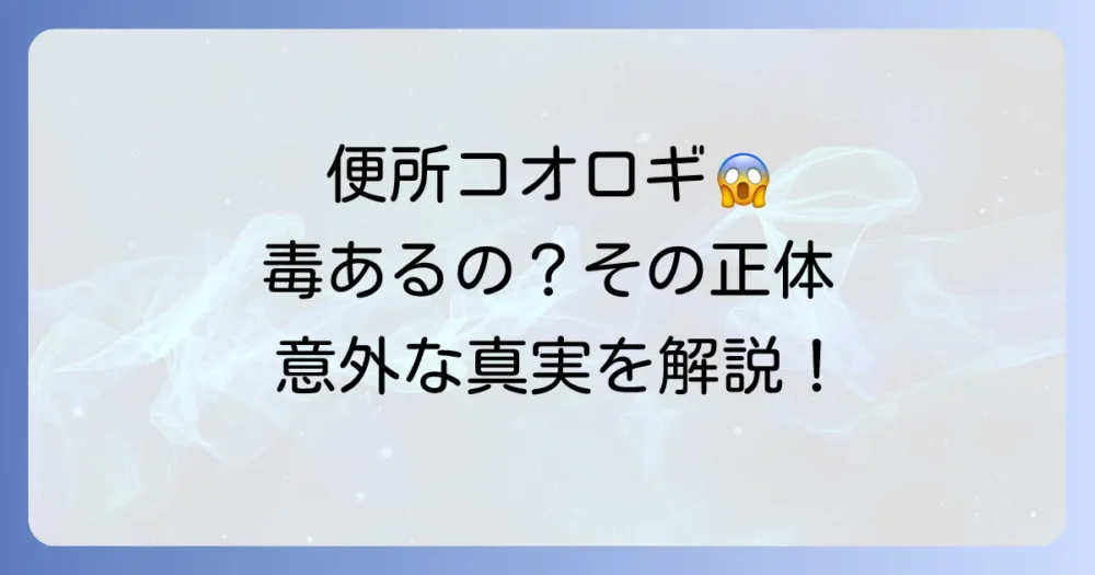 そもそもカマドウマってどんな虫？生態と害を解説