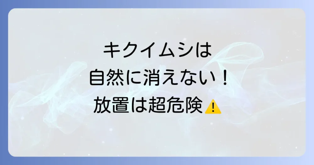キクイムシは自然にいなくなる?放置するリスクとは