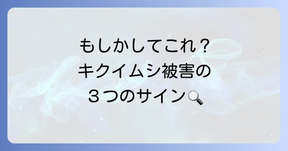 もしかしてキクイムシ?被害のサインを見分ける3つのポイント