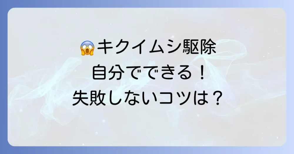 自分でできる!キクイムシの駆除方法