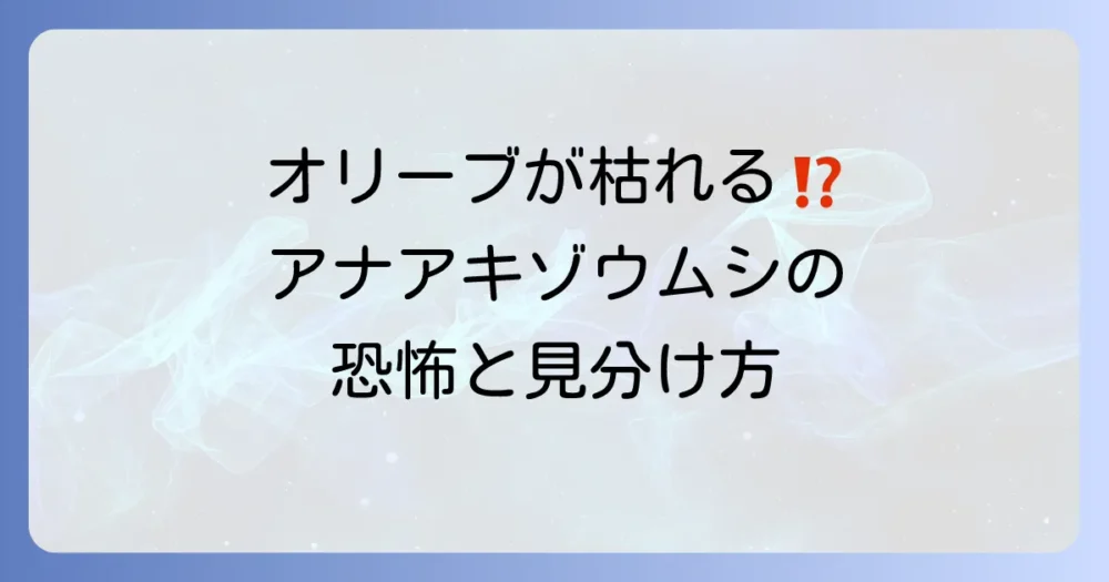 恐怖!オリーブを枯らす天敵「オリーブアナアキゾウムシ」とは?