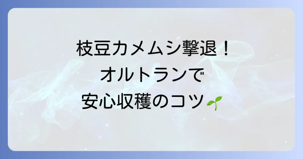 【枝豆のカメムシ対策】オルトランは効く？正しい使い方と注意点を徹底解説！