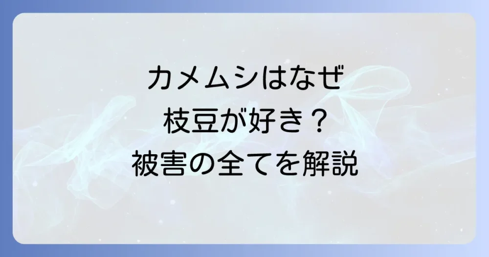 そもそもなぜ？枝豆にカメムシが発生する原因と被害