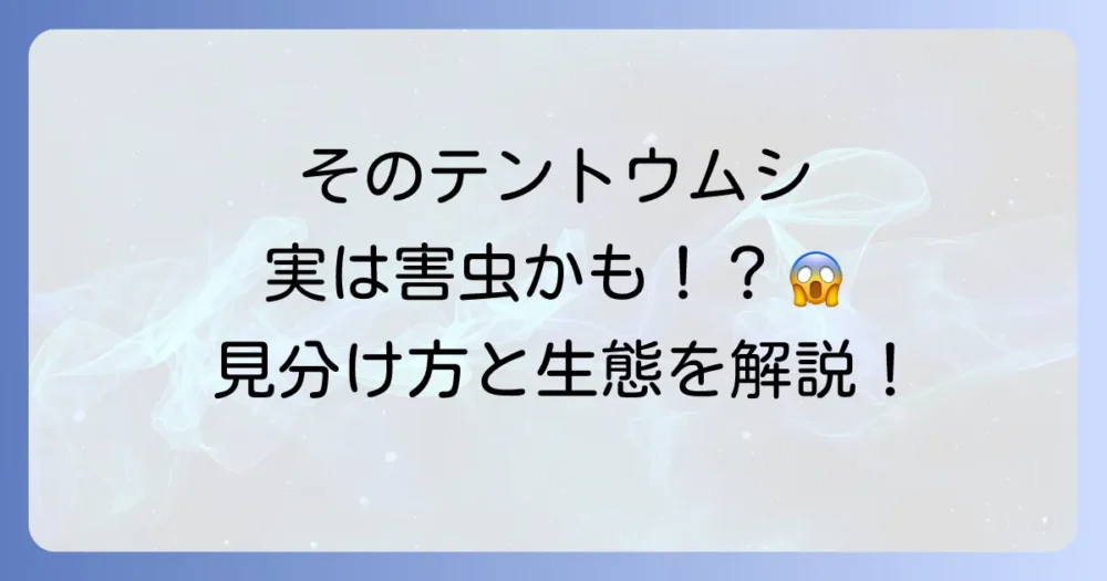 まずは敵を知ろう！害虫ニジュウヤホシテントウ（テントウムシダマシ）とは？