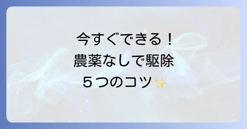 【即実践】農薬を使わない！ニジュウヤホシテントウの駆除方法5選