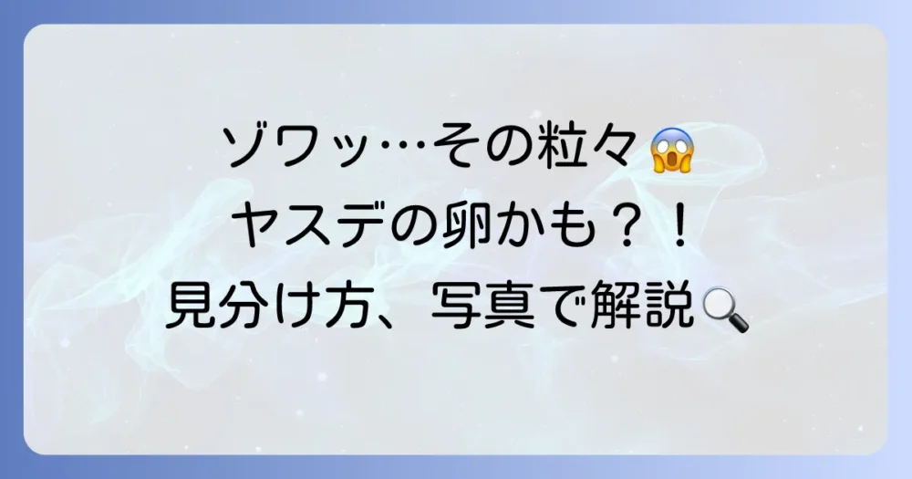 その粒々、ヤスデの卵かも?特徴と見分け方