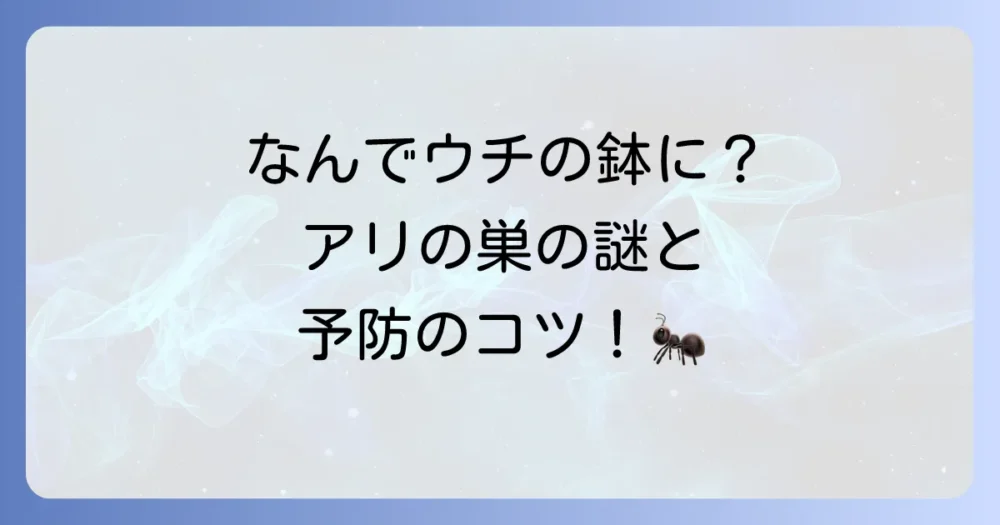 そもそも、なぜ植木鉢にアリの巣ができるの?原因と予防策