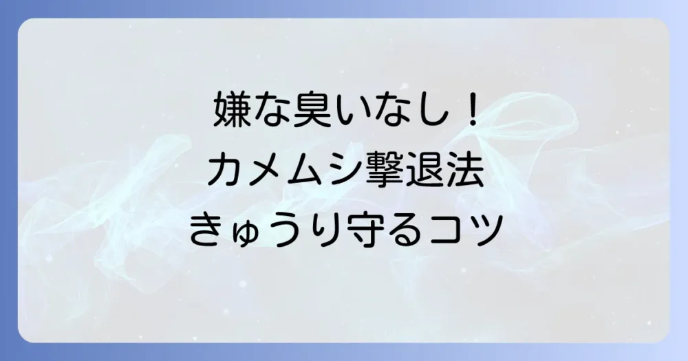 きゅうりをカメムシから守る！農薬に頼らない対策から即効性のある駆除方法まで徹底解説