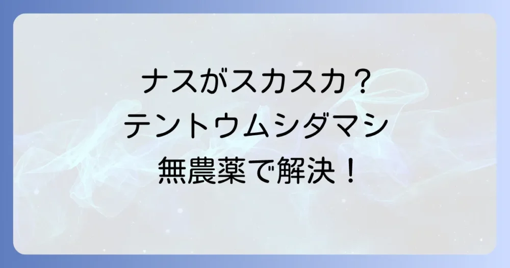 テントウムシダマシの無農薬駆除ガイド！見分け方から予防策まで徹底解説