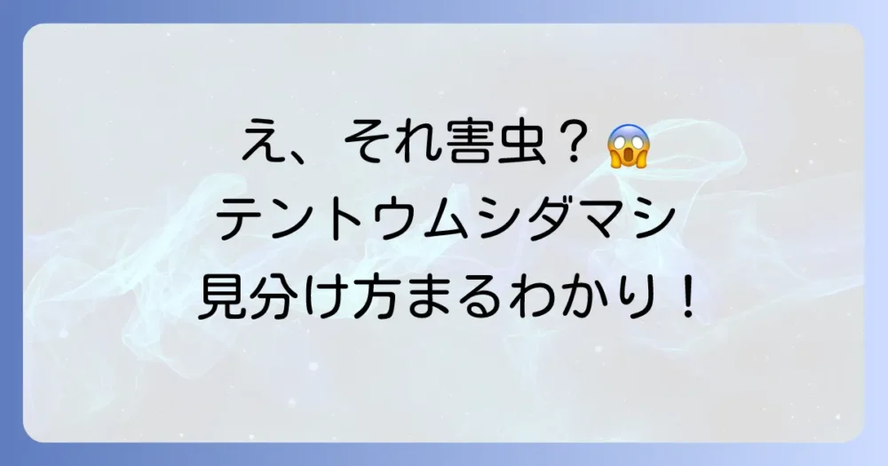 その虫、本当にテントウムシダマシ？益虫との見分け方