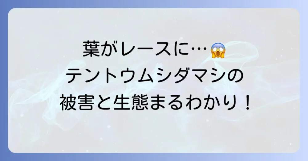 テントウムシダマシの被害と生態