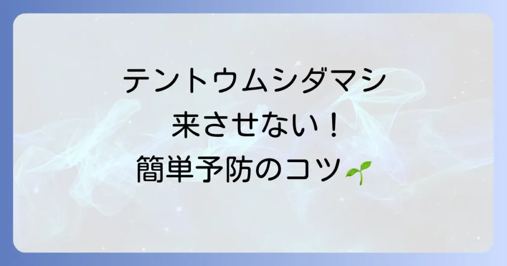 発生させないことが一番！効果的な予防策