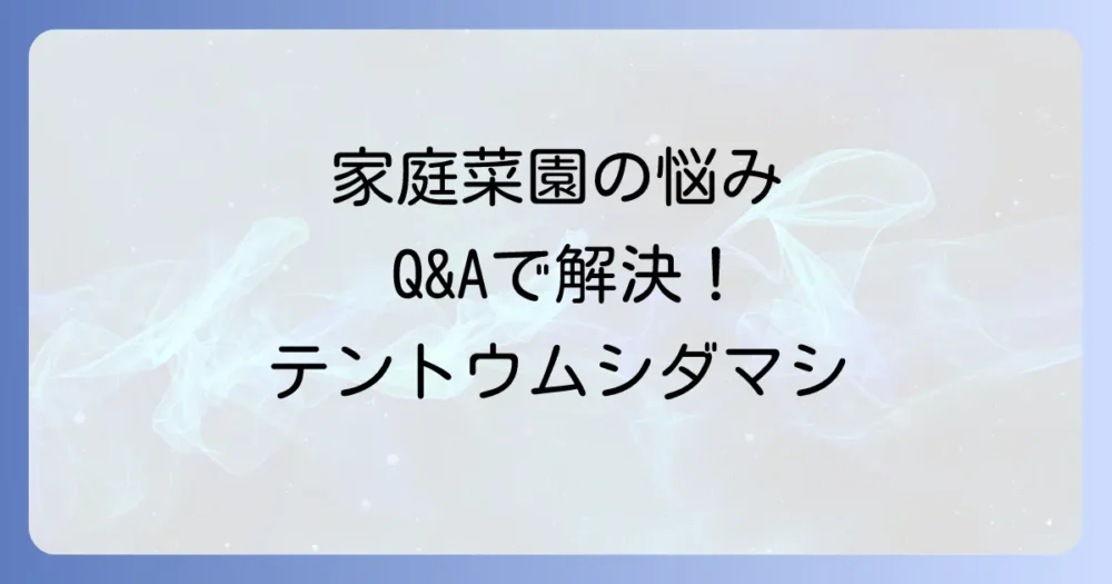 よくある質問
