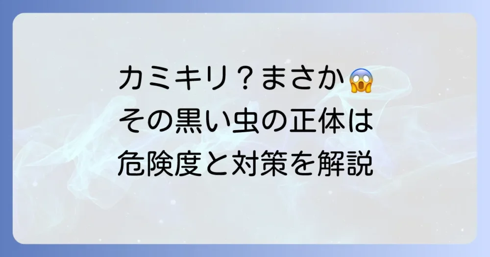 カミキリムシみたいな黒い虫が家の中に！正体と今すぐできる駆除・予防策を徹底解説