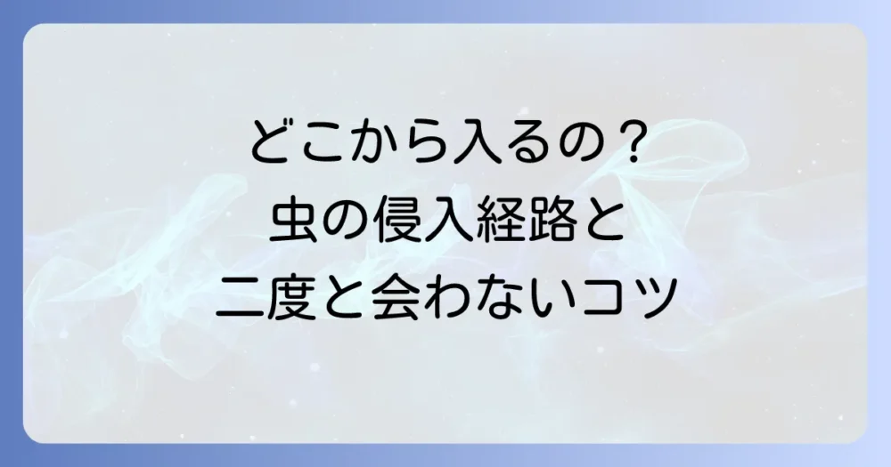 【原因と対策】なぜ家の中に？侵入経路と再発防止策