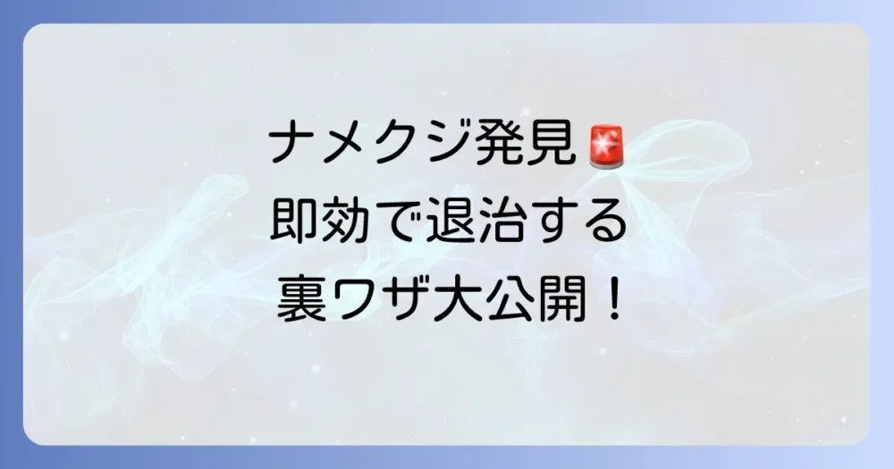 【見つけたら即実行】クリーピングタイムのナメクジ対策｜駆除編