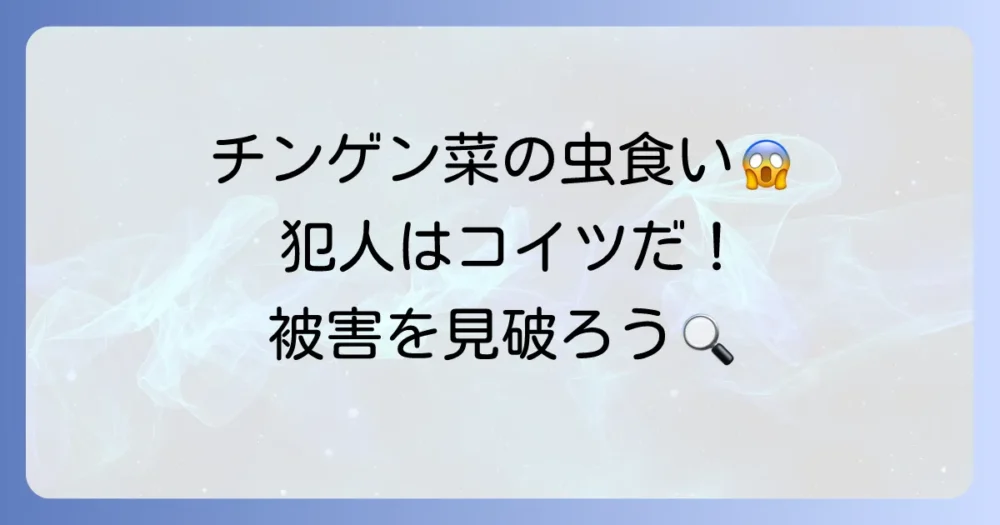 まずはチェック!チンゲン菜を襲う主な害虫とその被害