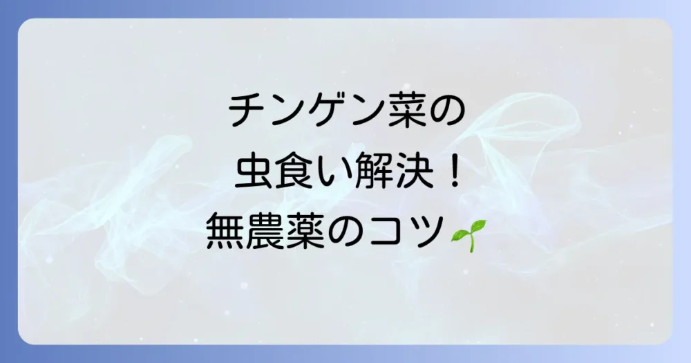 無農薬で挑戦!自然の力を活かした虫食い対策