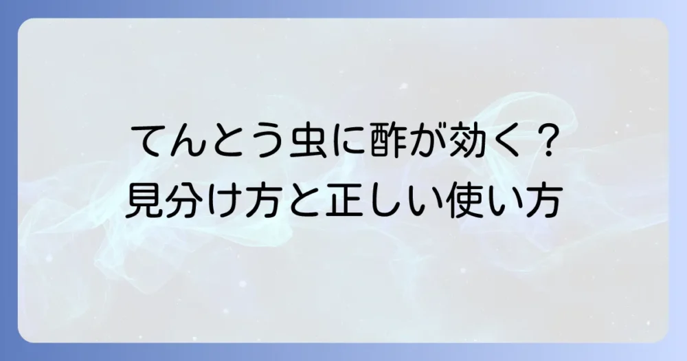 【結論】てんとう虫の駆除に酢は効果が期待できる！ただし注意点も