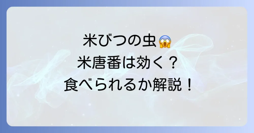 【効果ある？】米びつのチャタテムシに米唐番は効くのか徹底解説！発生原因と駆除・予防法
