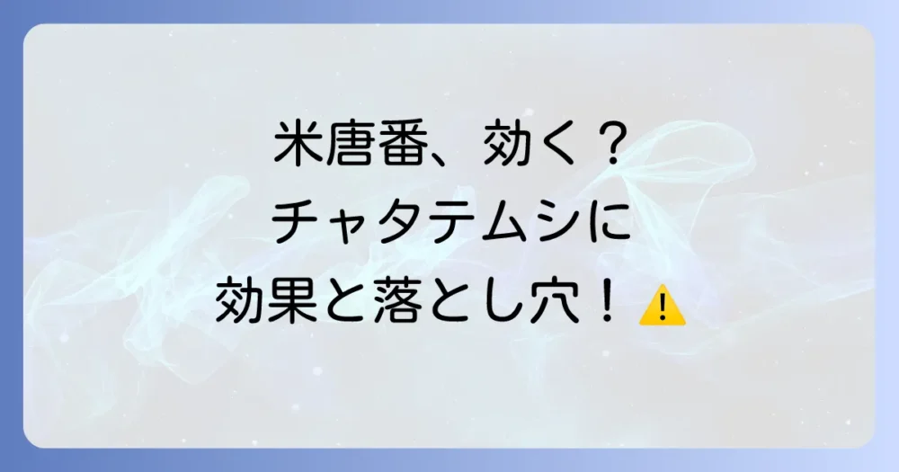 【結論】チャタテムシに米唐番は効果がある！ただし予防が基本