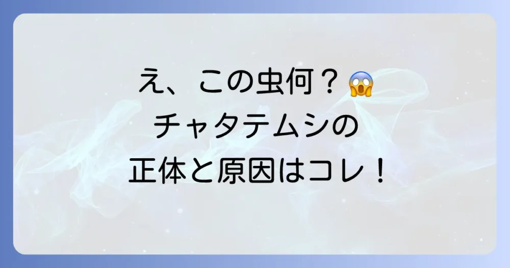 その小さな虫、本当にチャタテムシ？正体と発生原因