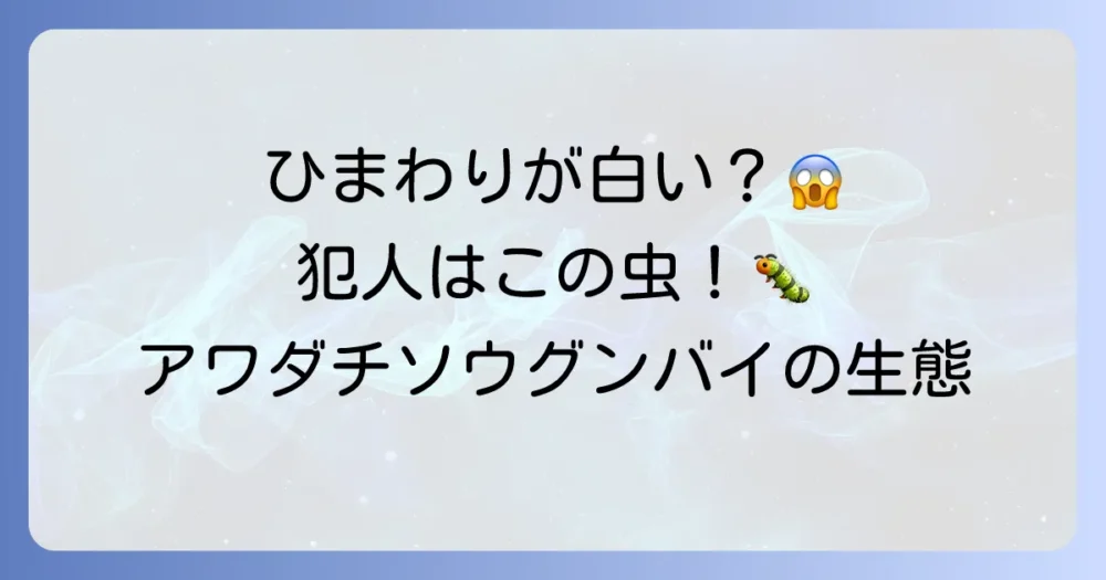 ひまわりに付く「アワダチソウグンバイ」の正体とは？