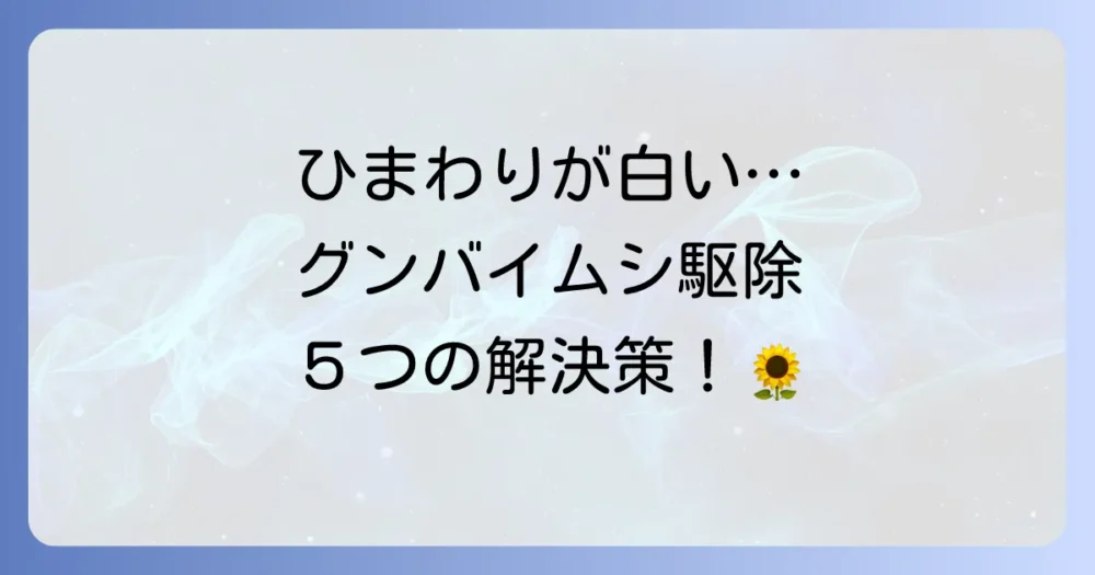 今すぐできる！ひまわりのグンバイムシ駆除方法5選