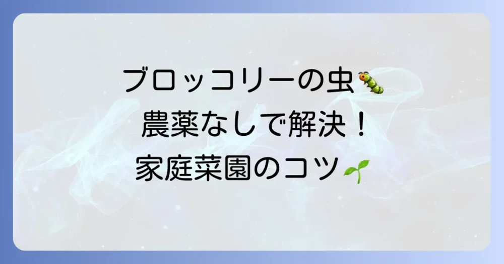 ブロッコリーの害虫駆除は無農薬で！アオムシ・ヨトウムシ対策と予防法を徹底解説