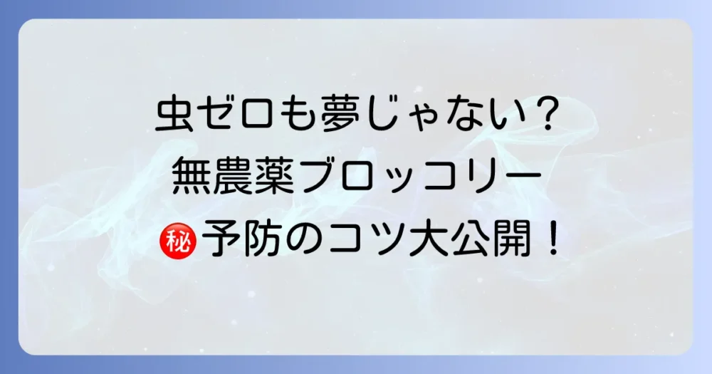 【最重要】被害を防ぐ！無農薬での害虫予防策