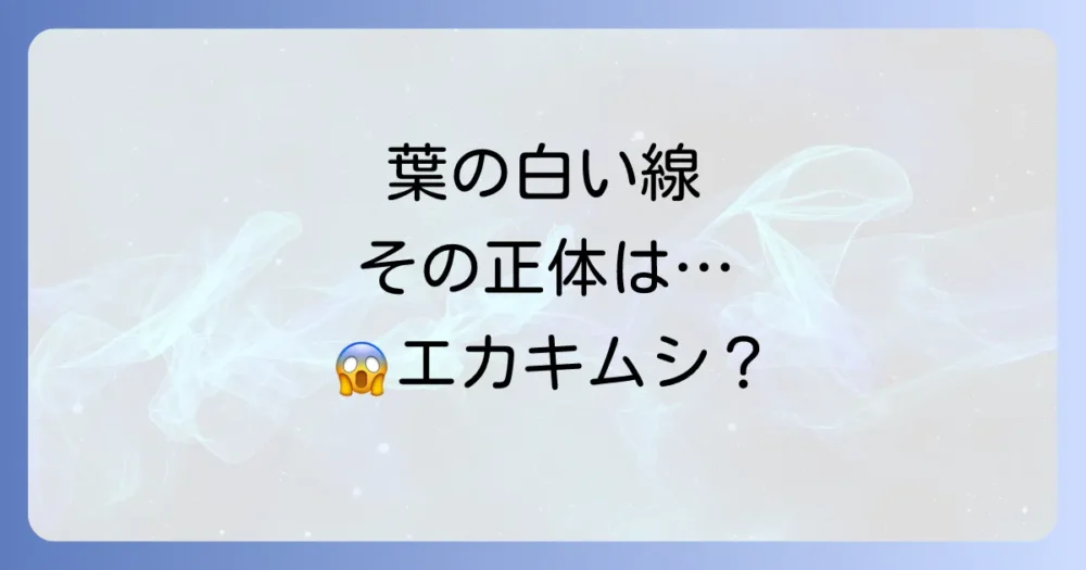 気づいたら葉に白い線が!厄介なハモグリバエの正体とは?