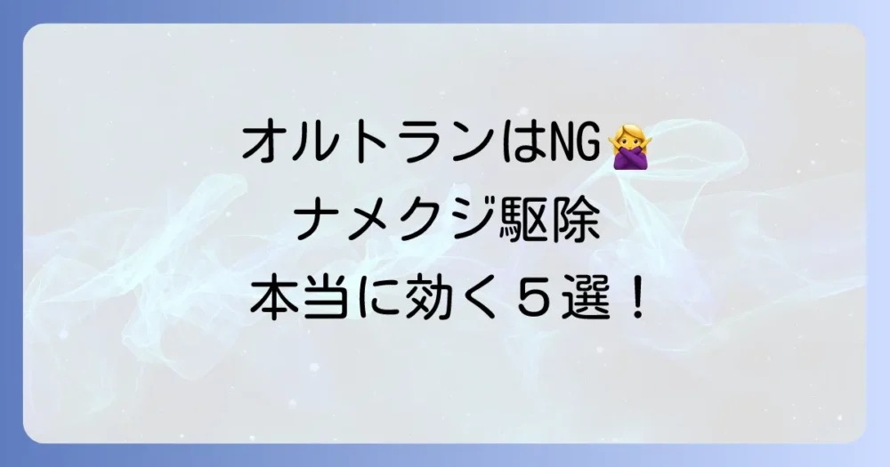 【ナメクジにはコレ!】効果的な駆除方法5選