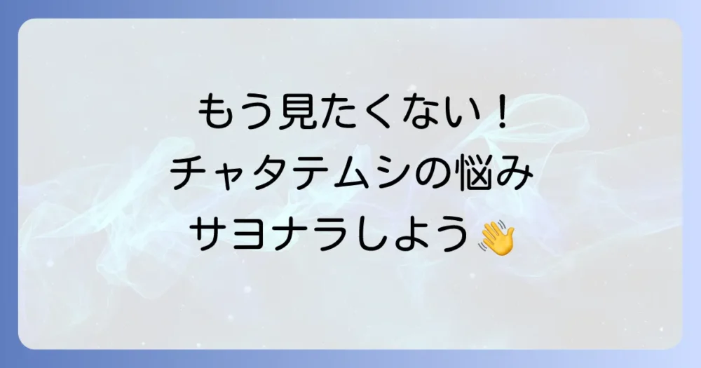 もう見たくない!チャタテムシの発生で悩んでいませんか?