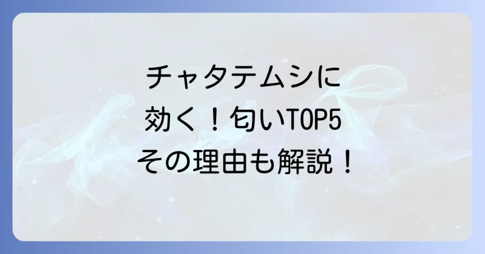 チャタテムシが嫌いな匂いTOP5!科学的根拠と使い方