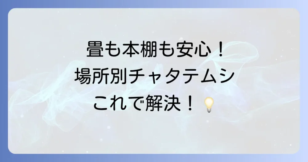 場所別!チャタテムシの効果的な対策ポイント