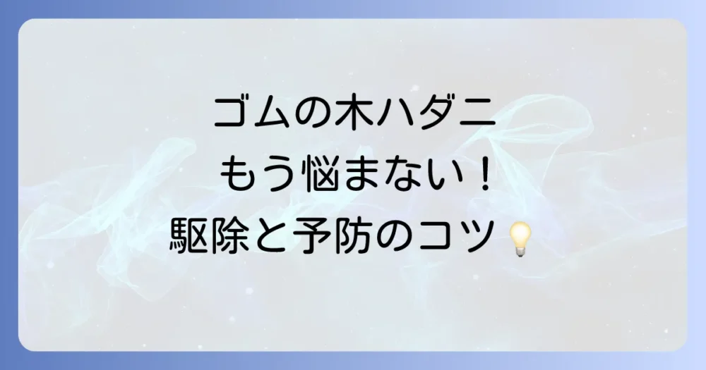 もう発生させない!ゴムの木のハダニ徹底予防策
