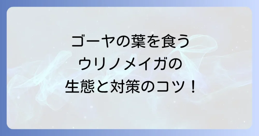 害虫ウリノメイガの正体とは？生態を知って対策を！