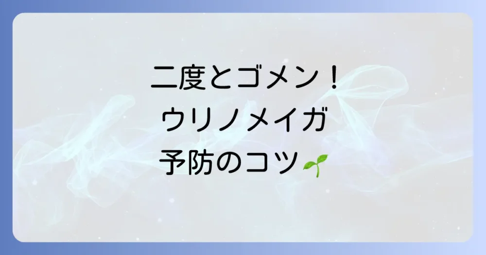 二度と発生させない！ウリノメイガの徹底予防策