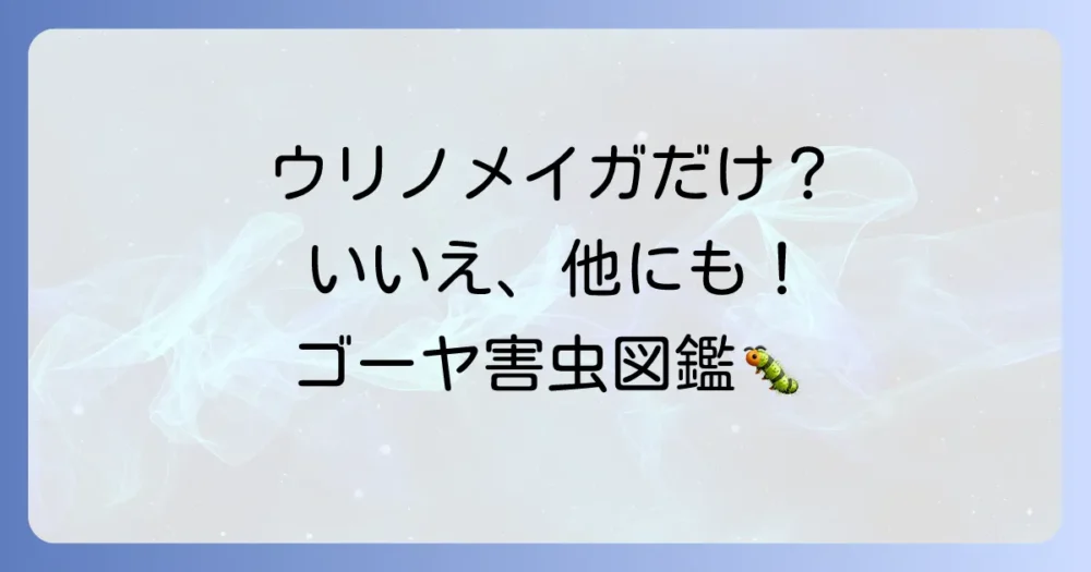 ゴーヤの害虫はウリノメイガだけじゃない！注意すべき他の害虫