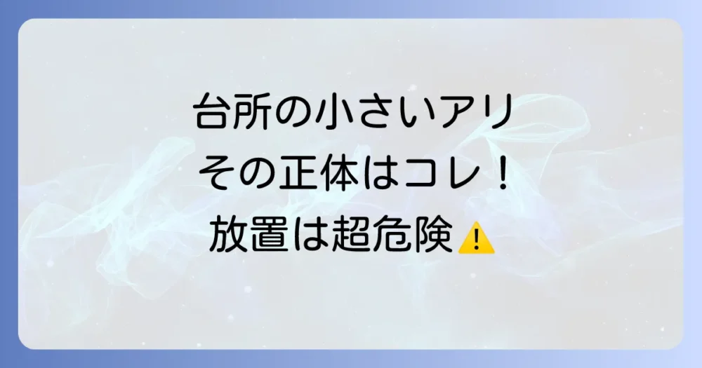 台所にいる小さいアリの正体は「イエヒメアリ」！その特徴と危険性