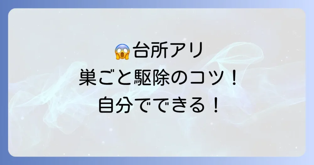 台所のイエヒメアリを巣ごと駆除！自分でできる効果的な退治方法