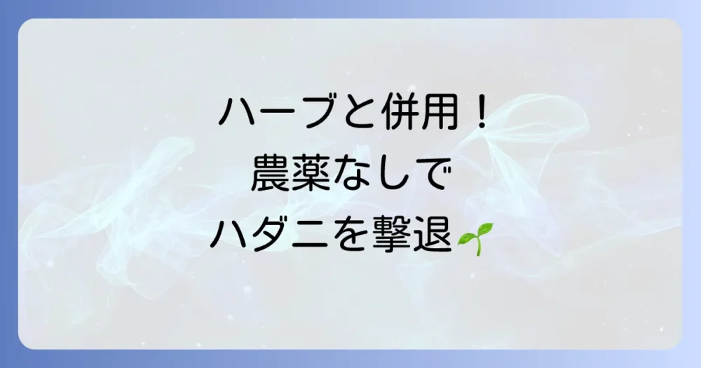 ハーブと組み合わせたい!農薬以外のハダニ対策