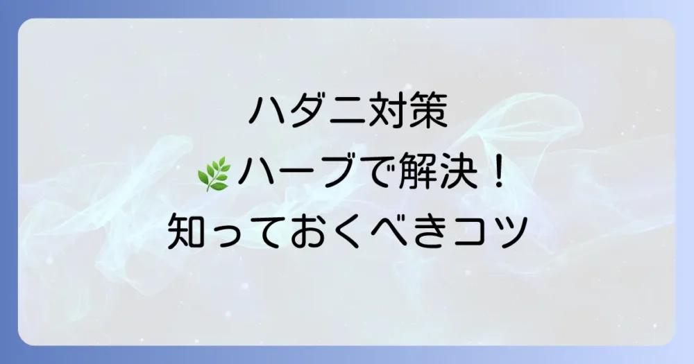 まとめ