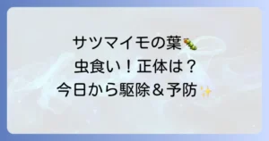 サツマイモの葉につく虫【完全ガイド】被害写真で正体を特定!今日からできる駆除・予防法