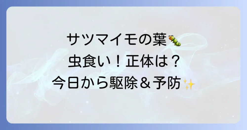 サツマイモの葉につく虫【完全ガイド】被害写真で正体を特定!今日からできる駆除・予防法
