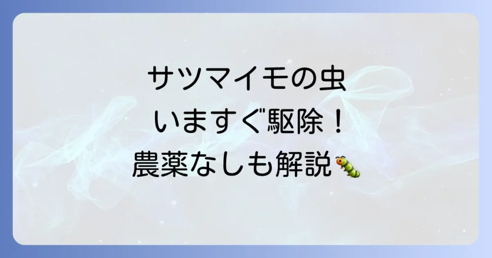 今すぐできる!サツマイモの害虫対策【駆除編】
