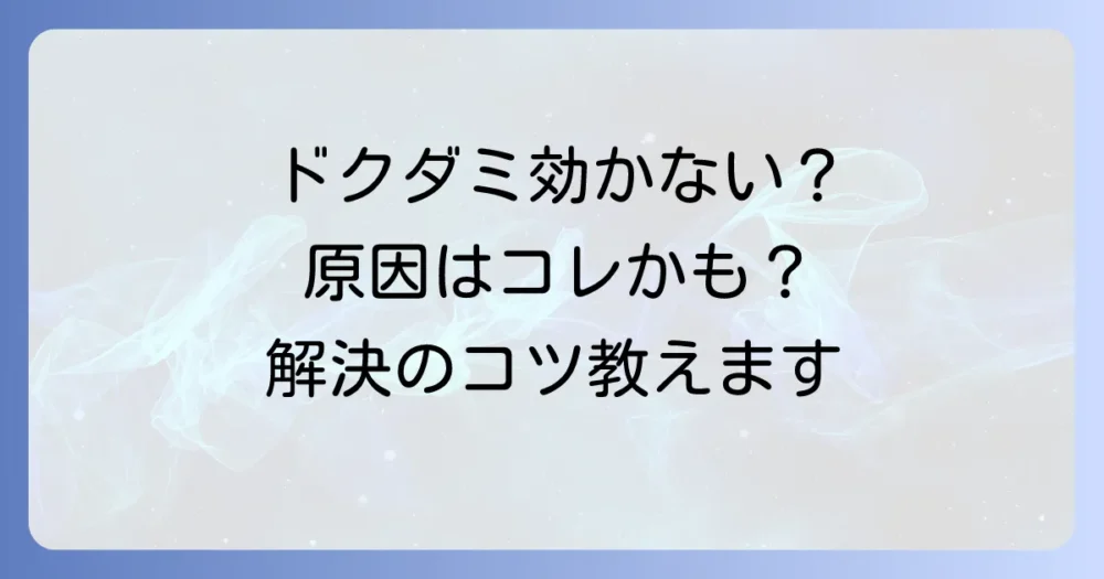ドクダミスプレーが効かない?考えられる原因と対処法